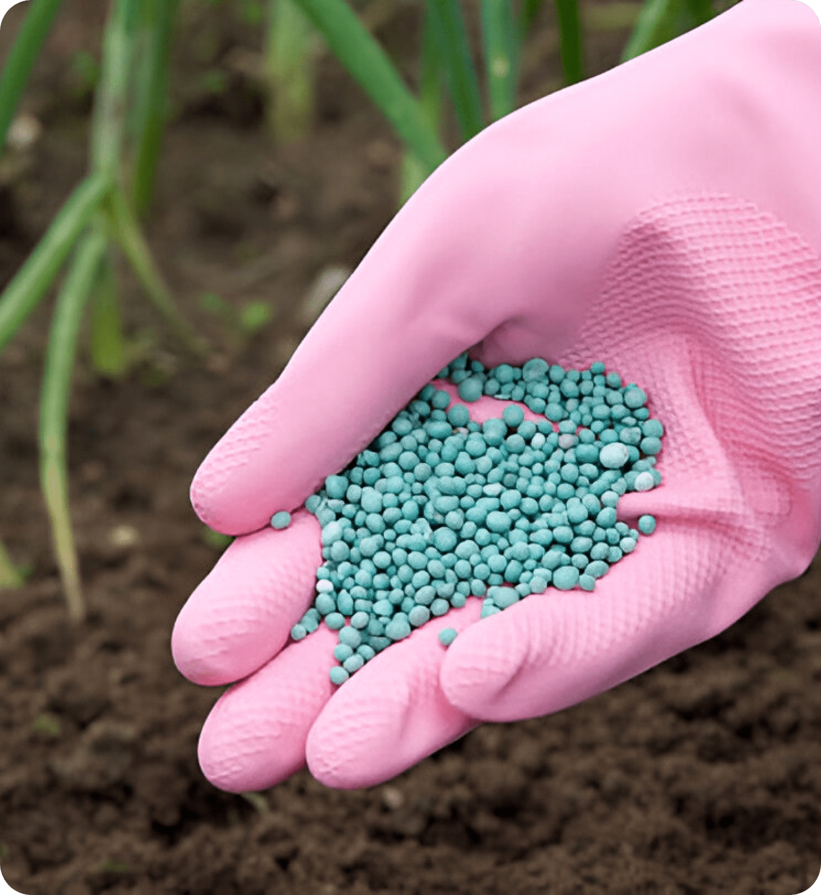 Fertilizer pellets - sustainable agriculture