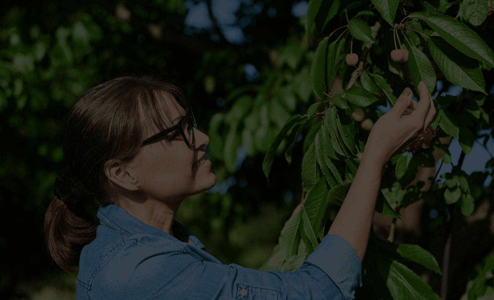 Vision background - sustainable agriculture