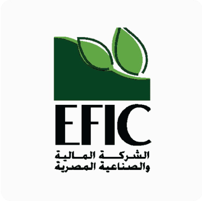 Egyptian Financial & Industrial Co