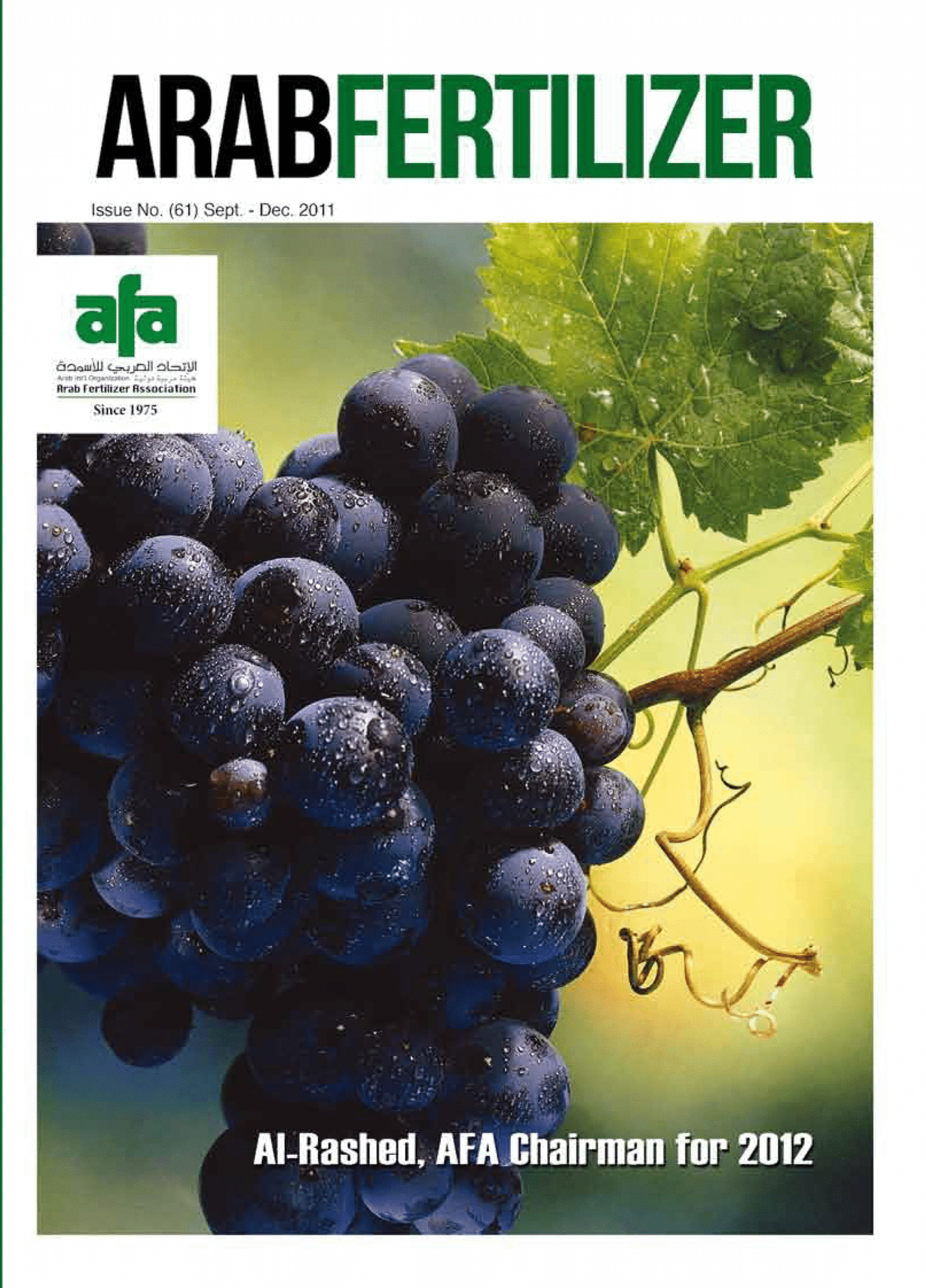 2011 - AFM 61 ENGLISH